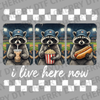 Funny raccoon wearing a baseball hat and sunglasses eating popcorn, hot dog, and boba at a stadium with text I live here now DTF transfer ready to press.