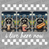 Funny raccoon wearing a baseball hat and sunglasses eating popcorn, hot dog, and boba at a stadium with text I live here now DTF transfer ready to press.