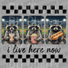 Funny raccoon wearing a baseball hat and sunglasses eating popcorn, hot dog, and boba at a stadium with text I live here now DTF transfer ready to press.