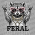 High-detail illustration of a raccoon wearing pink glitter sunglasses and pearl necklaces making a rock sign with the text FERAL DTF transfer ready to press.
