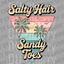 Retro sunset in a triangle frame with palm trees and seagulls with text Salty Hair Sandy Toes DTF transfer ready to press.